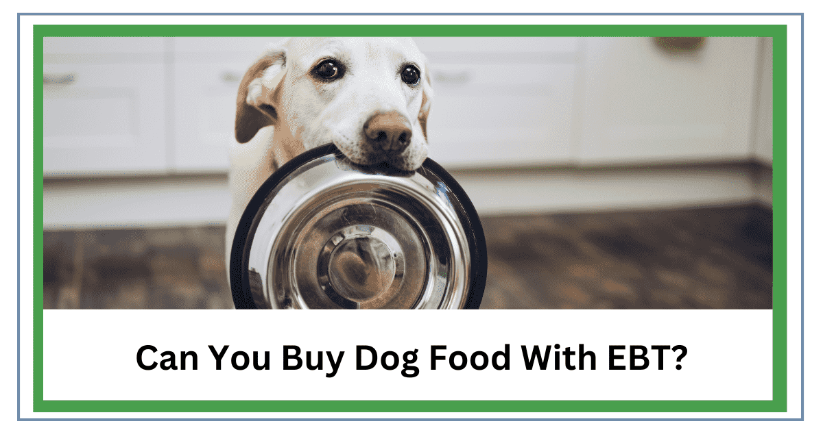 Buy Dog Food with EBT
