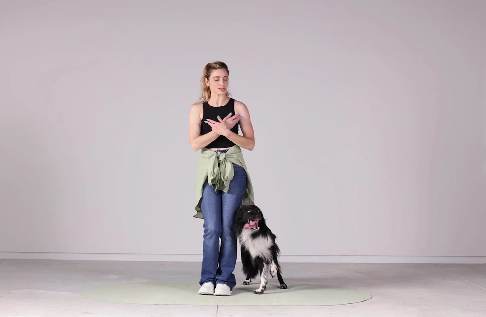 Teach My Dog to Dance