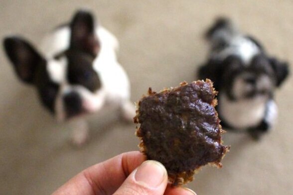 Dogs Beef Jerky From Daily Boarding Care