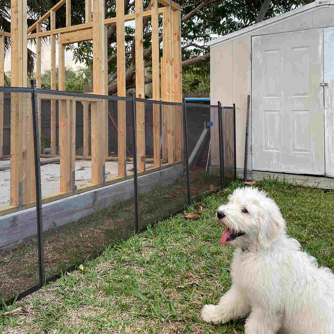 Is Liquid Fence Safe for Dogs