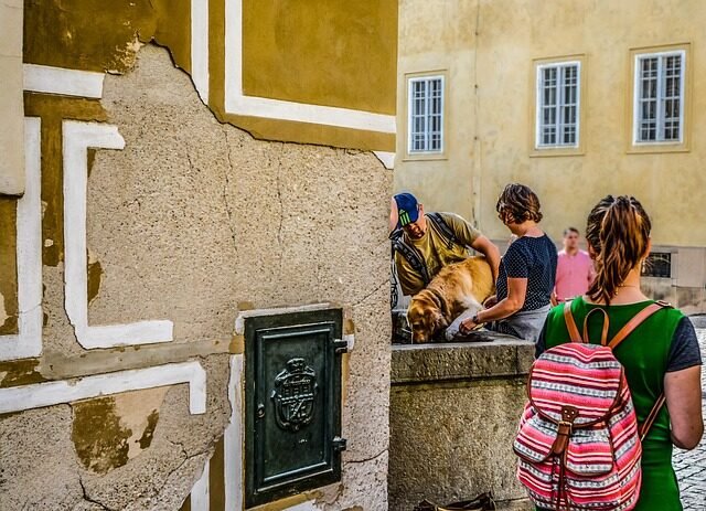 Lift and Carry Your Dog