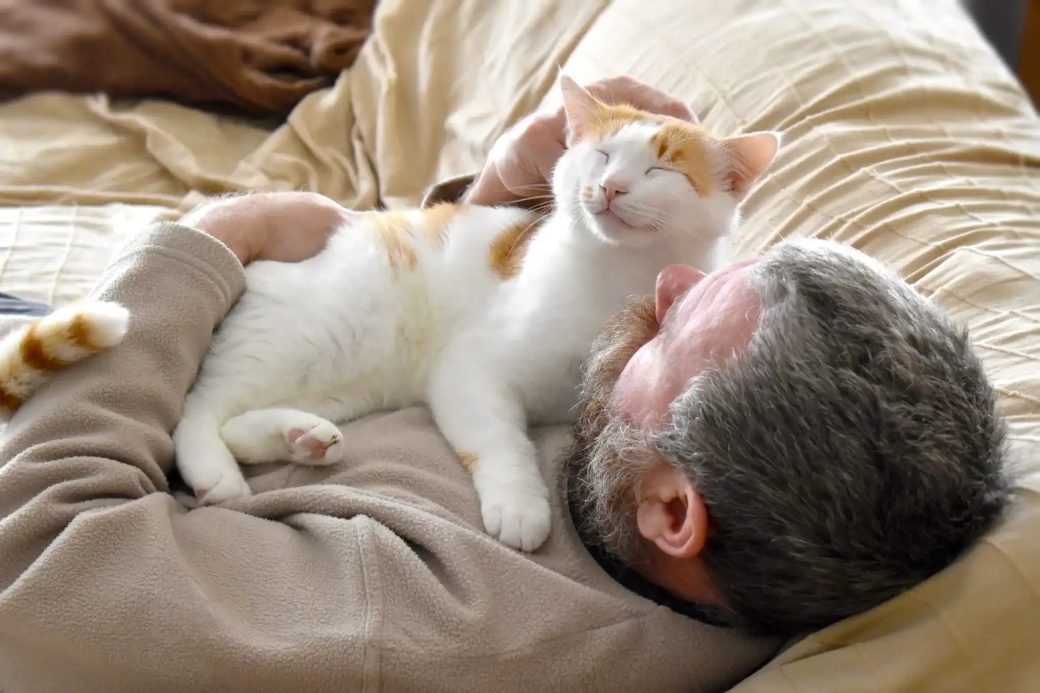 Cat Always Chooses My Chest