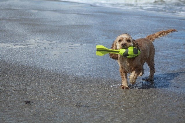 Keep a Tick Spray