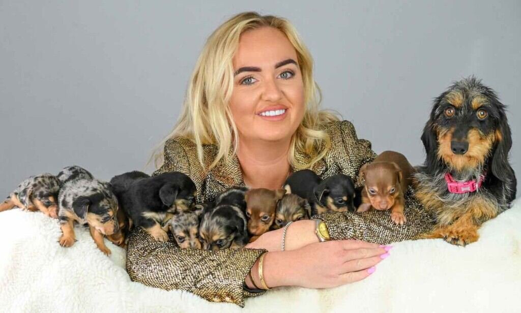 How Many Puppies Can a Dog Have